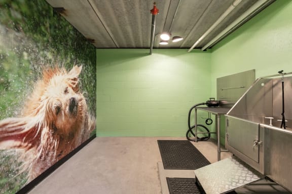 a room with a sink and a large wall mural of a dog