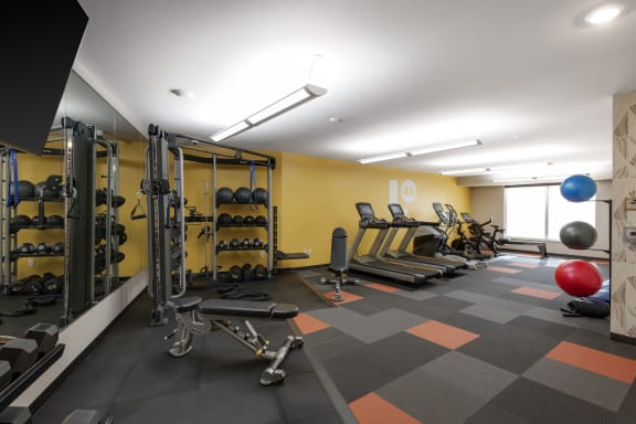 a gym with weights and cardio equipment in a treatment room