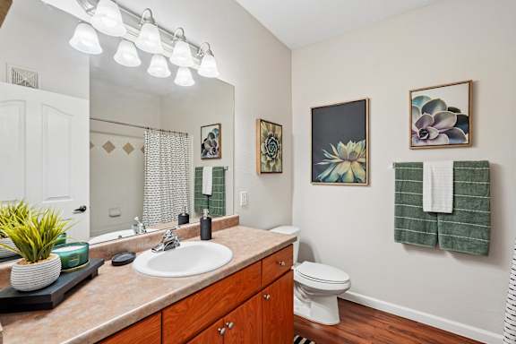 A bathroom with a toilet, sink, and mirror.