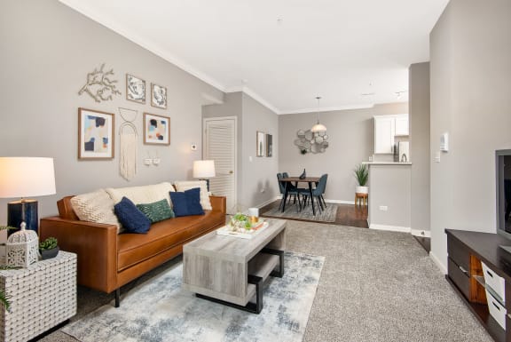 Cozy Apartment Living Room at Thornberry Woods Apartment Homes, Illinois