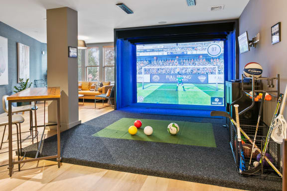 a game room with a large screen tv and balls on a rug