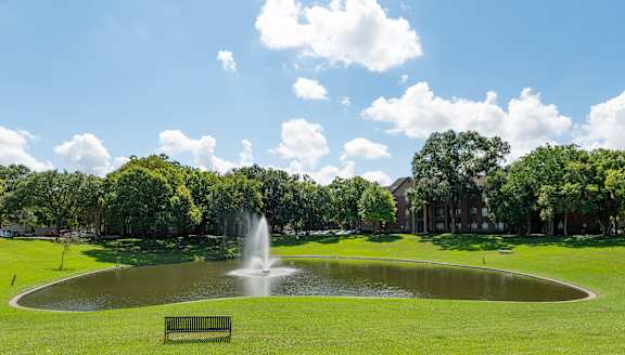 A park with a fountain, bench, and trees.