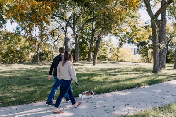 a couple walking their dog in a park