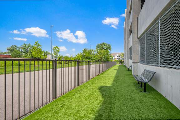 A long metal fence runs along a grassy area.