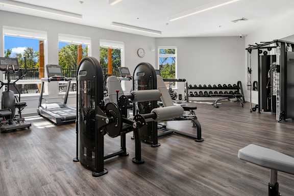 A gym with a variety of equipment including treadmills, weights, and benches.