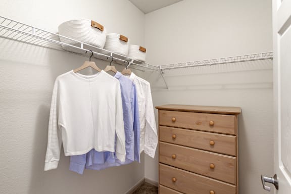 a walk in closet with a dresser and coat rack