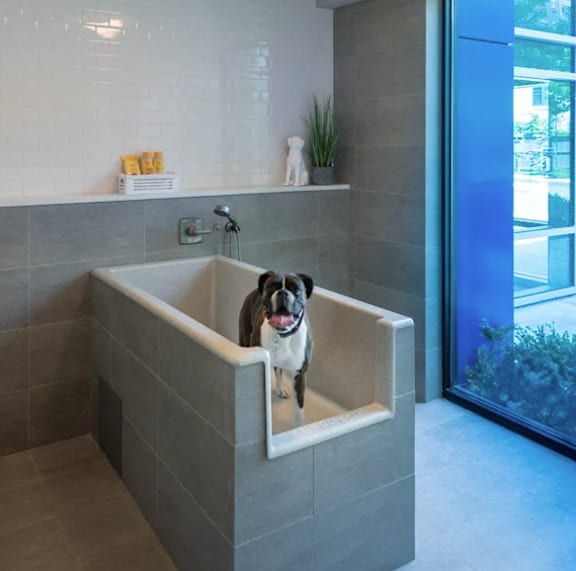 A dog is sitting in a bathtub in a bathroom.