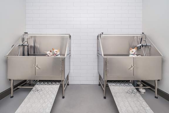 Two stainless steel sinks with a cat sitting on each.