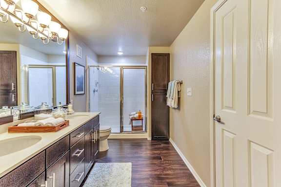 a bathroom with a sink and a shower