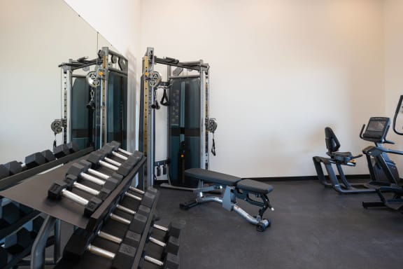 a fitness room with cardio machines and weights