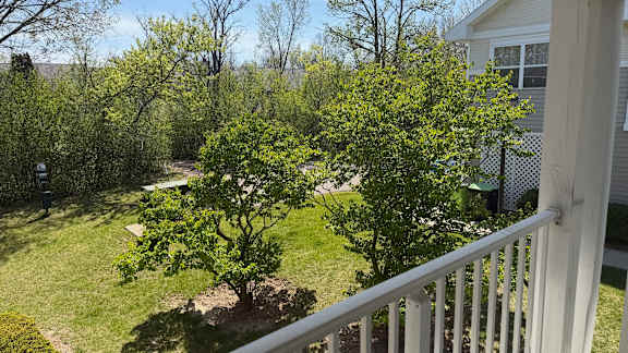 A view from a balcony looking out at a yard with trees and a house.
