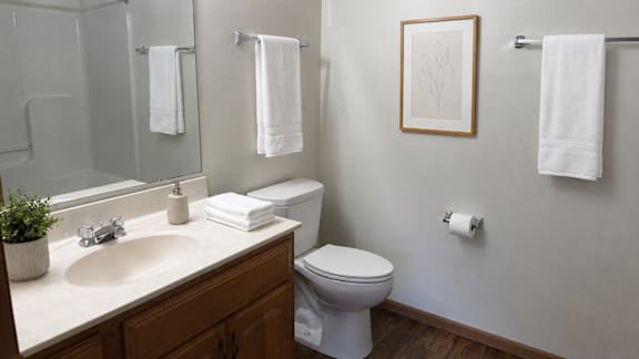 A white toilet sits next to a sink in a bathroom.