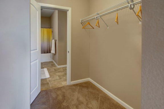 dakota commons walk in closet