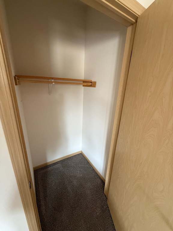 A wooden hallway with a carpeted floor.