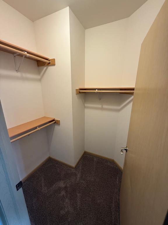 A small closet with a carpeted floor and two shelves.