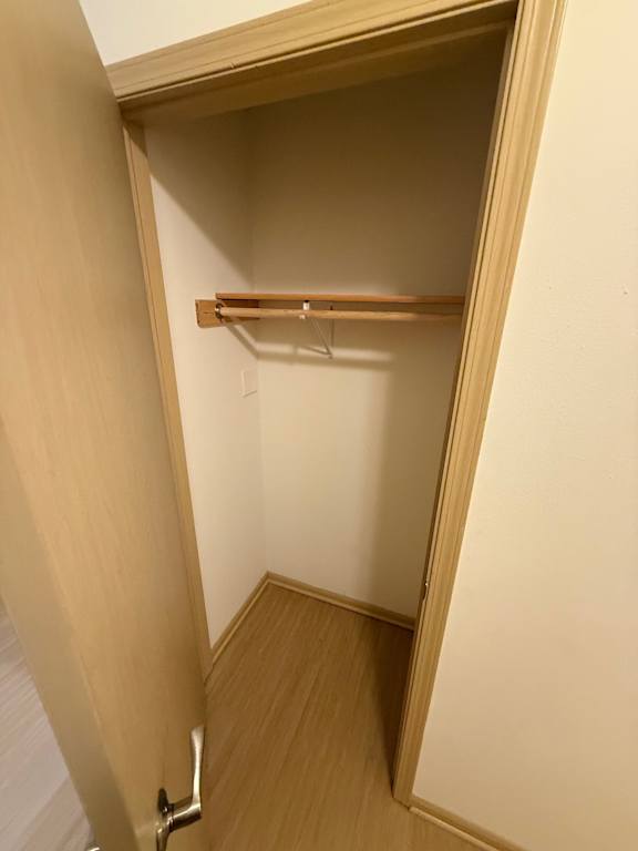 A small closet with a wooden shelf and a white door.