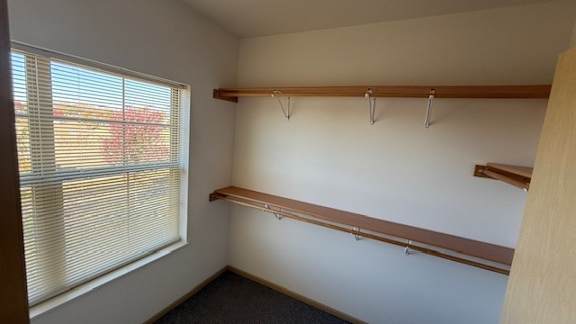 A room with a window and two shelves.