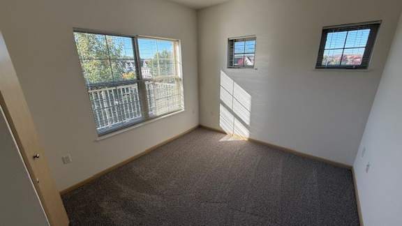 A room with a carpeted floor, two windows, and a door.
