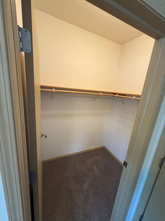 A small, empty room with a carpeted floor and a shelf above.