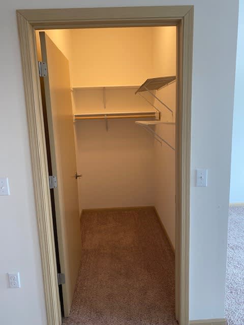 A small, empty closet with a carpeted floor and white walls.