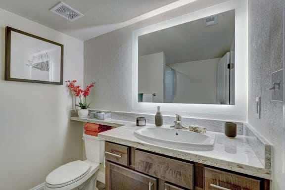 a bathroom with a sink toilet and mirror