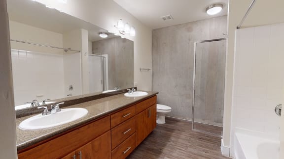 Penthouse bathroom with shower and bathtub