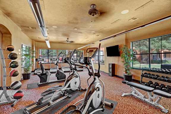 A spacious fitness center here at Tuscany at Faudree with treadmills, elliptical machines, and stationary bikes arranged across patterned flooring. Free weights, a weight bench, and medicine balls line the room, while large windows, mirrors, ceiling fans, and mounted televisions create a bright, motivating workout space.