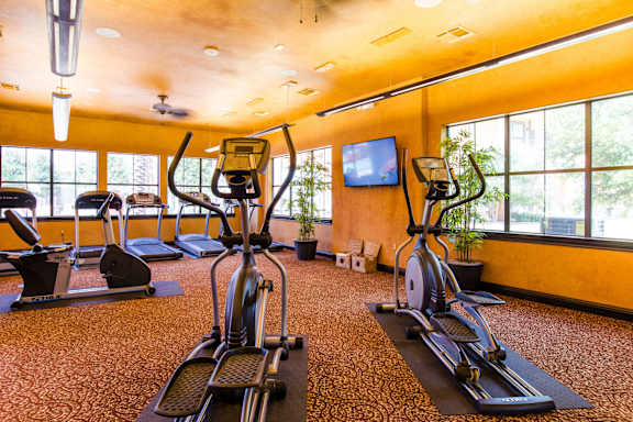A bright fitness center here at Tuscany at Faudree with elliptical machines, treadmills, and stationary bikes arranged across patterned flooring. Large windows line the walls, bringing in natural light and views of greenery, while mounted televisions, ceiling fans, and potted plants create an energizing and comfortable workout environment.