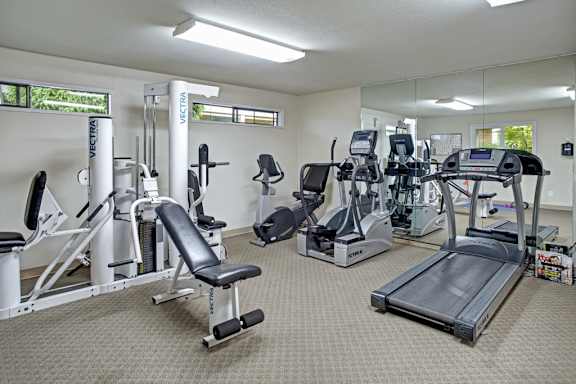 A gym with a variety of equipment including treadmills, stationary bikes, and weight machines.