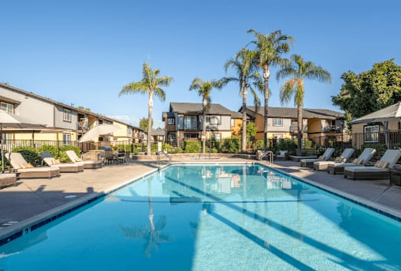 A swimming pool surrounded by palm trees and lounge chairs.