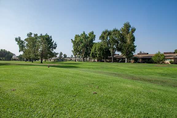 A large, open grassy field with trees in the background at Country Village Apartments, Jurupa Valley, CA, 91752