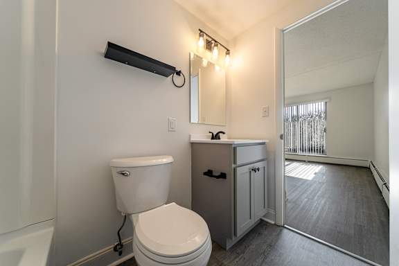 A white toilet with a grey cabinet and a mirror above it.