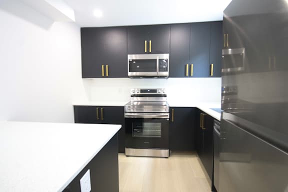 A modern kitchen with black cabinets and stainless steel appliances.