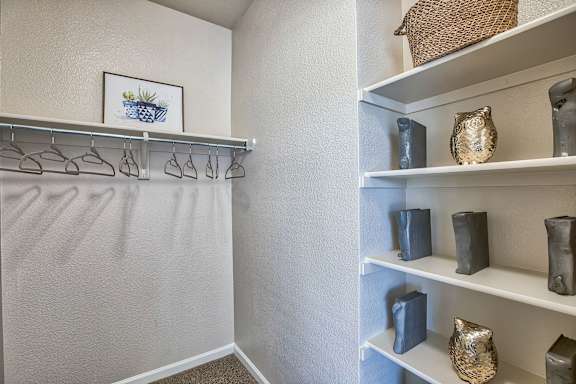 A white closet with shelves and a picture of a plant on the wall.