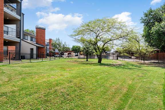 A tree stands in a grassy yard in front of a building.