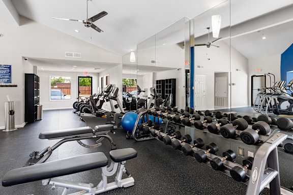 A gym with a row of dumbbells and a bench press.