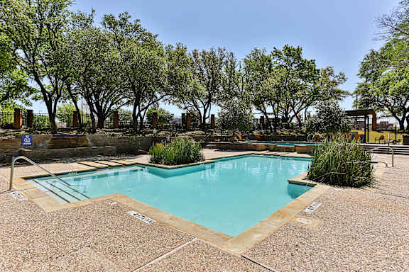 A small pool surrounded by trees and bushes.