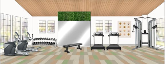 A gym with a green wall and a variety of exercise equipment.