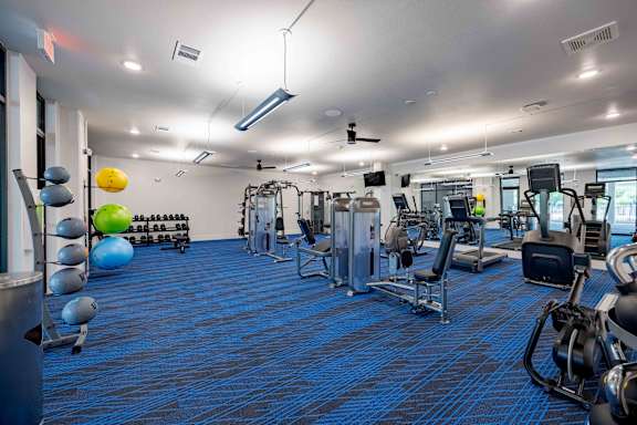 A gym with blue carpeting and various exercise equipment.