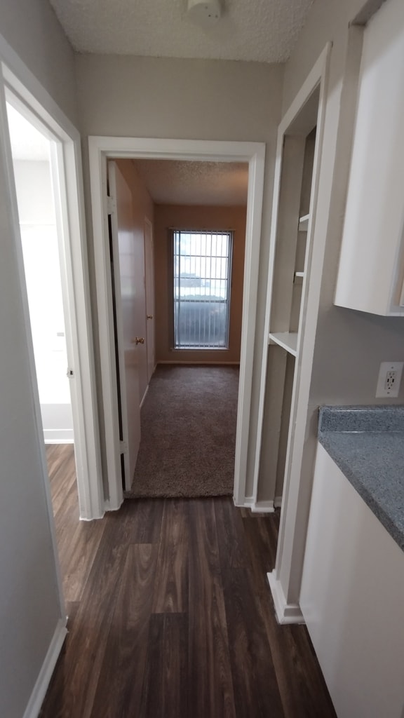 a view from the kitchen into the living room and the hallway to the bedrooms