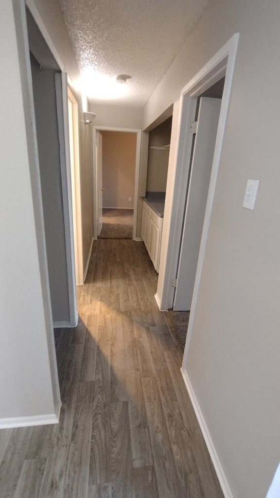 a room with a hallway with wooden floors and a closet