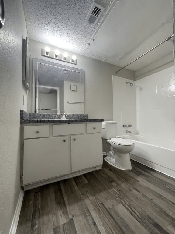 a bathroom with a toilet and a sink and a mirror
