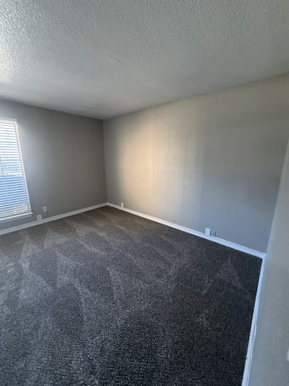 an empty room with carpet and a window