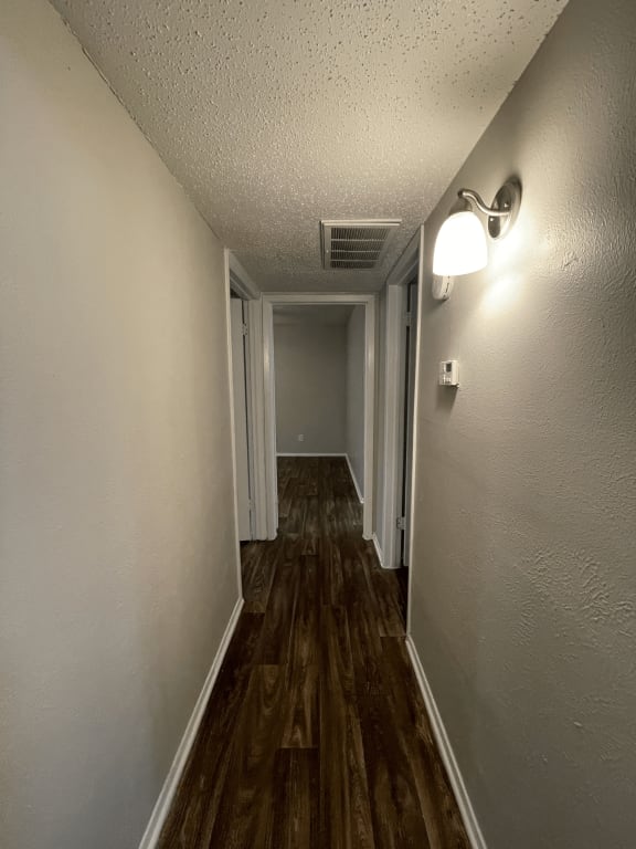 a hallway with a hard wood floor and a ceiling lamp