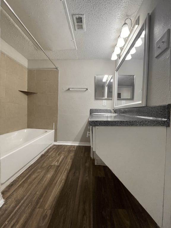 a bathroom with a sink and a tub and a mirror