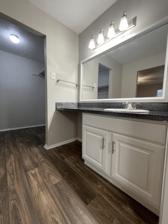 a bathroom with a sink and a mirror