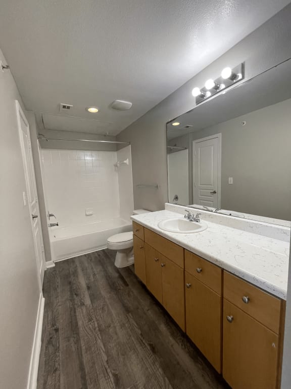 a bathroom with a sink and a toilet and a mirror