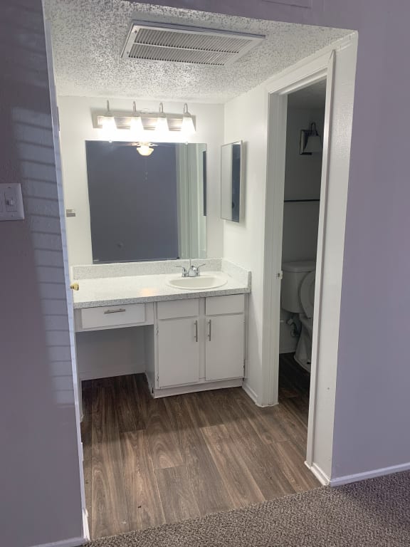 a bathroom with a sink and a mirror  at 1505 Exchange Apartments, Fort Worth, Texas