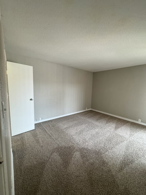 an empty room with carpet and a white door