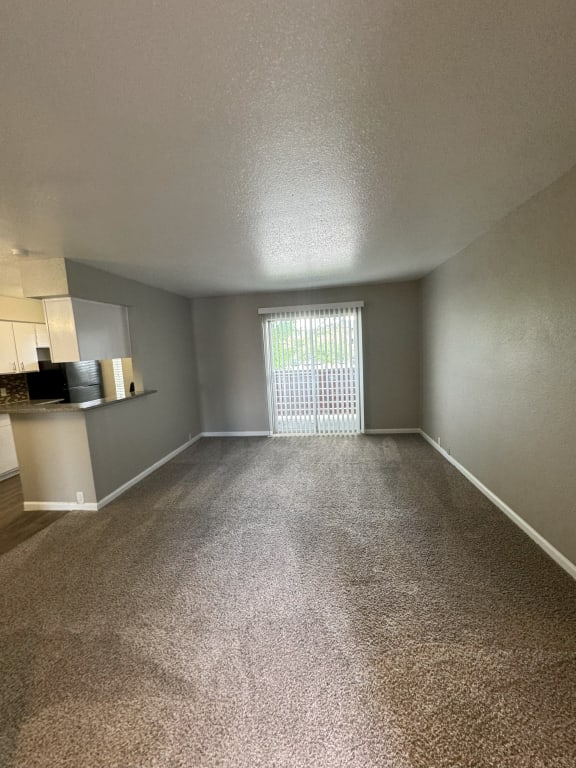 an empty living room with a window and a carpeted floor